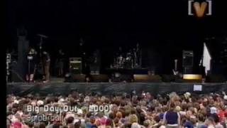 Spiderbait BDO Part 1