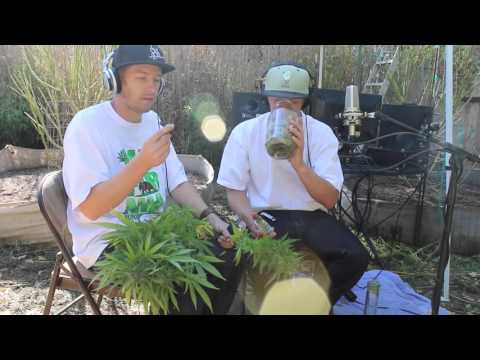 The Making Of..."Smoke One"