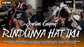 Download lagu DJ BANTENGAN‼️RINDUNYA HATIKU (SATRIO PUTRO ARJUNO) remixer by @PINGKYPROJECT  mp3