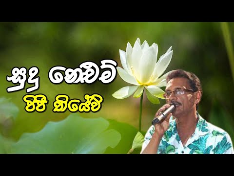 සුදු නෙළුම් පිපී තියේවි | Sudu Nelum Pipi Thiyewi | මාධව ඉඳිකැටිය | Madawa Indiketiya | DK Studio