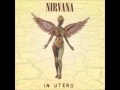 Nirvana ~ Milk It (Lyrics) 