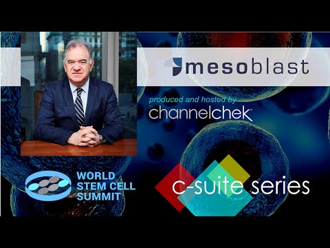 Meso Forum