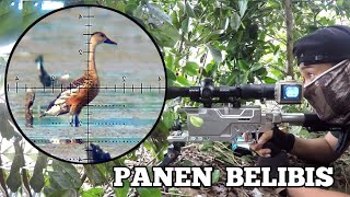 Download lagu WOW❗Hunting for grouse, it never stops coming down to harvest, Borneo slug mp3 Download lagu WOW❗Hunting for grouse, it never stops coming down to harvest, Borneo slug mp3