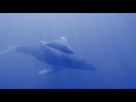 Video thumbnail for Floating