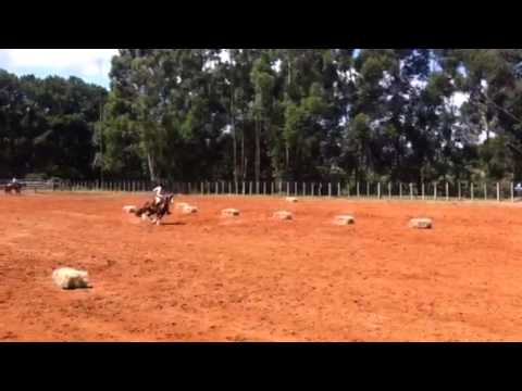 III Prova Capão da Lagoa, (FIGURA) 1º lugar machos ginete F