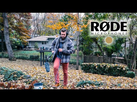 Обзор микрофона Rode NTG-3