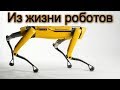 Из жизни роботов Boston Dynamics Из жизни роботов Boston Dynamics