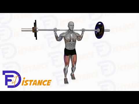 Exercice Fentes inversées à la barre