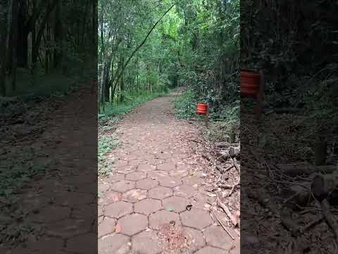 Trilha Ecológica Águas de Santa Bárbara #shorts