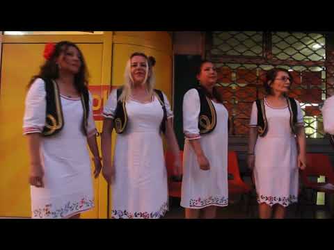 @PALILULSKO VECE--LESO PILE-  Etno grupa Verice Milutinovic (LIVE)