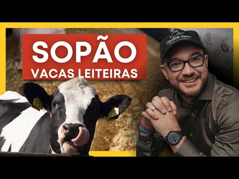 , title : 'SOPÃO para vacas leiteiras | Ração 25%'