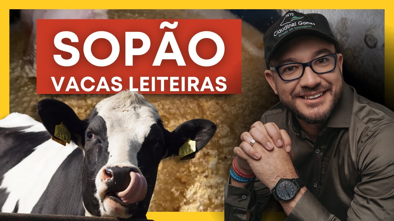 SOPÃO para vacas leiteiras | Ração 25%