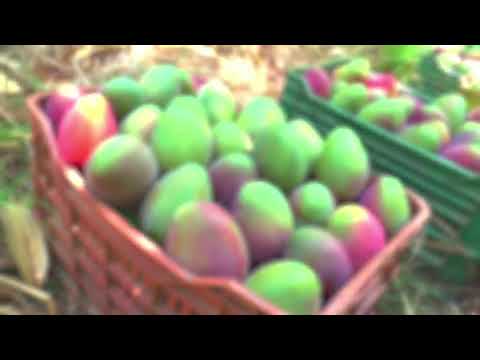 Segundo debate, subsidios acueductos rurales y Presupuesto general 2026