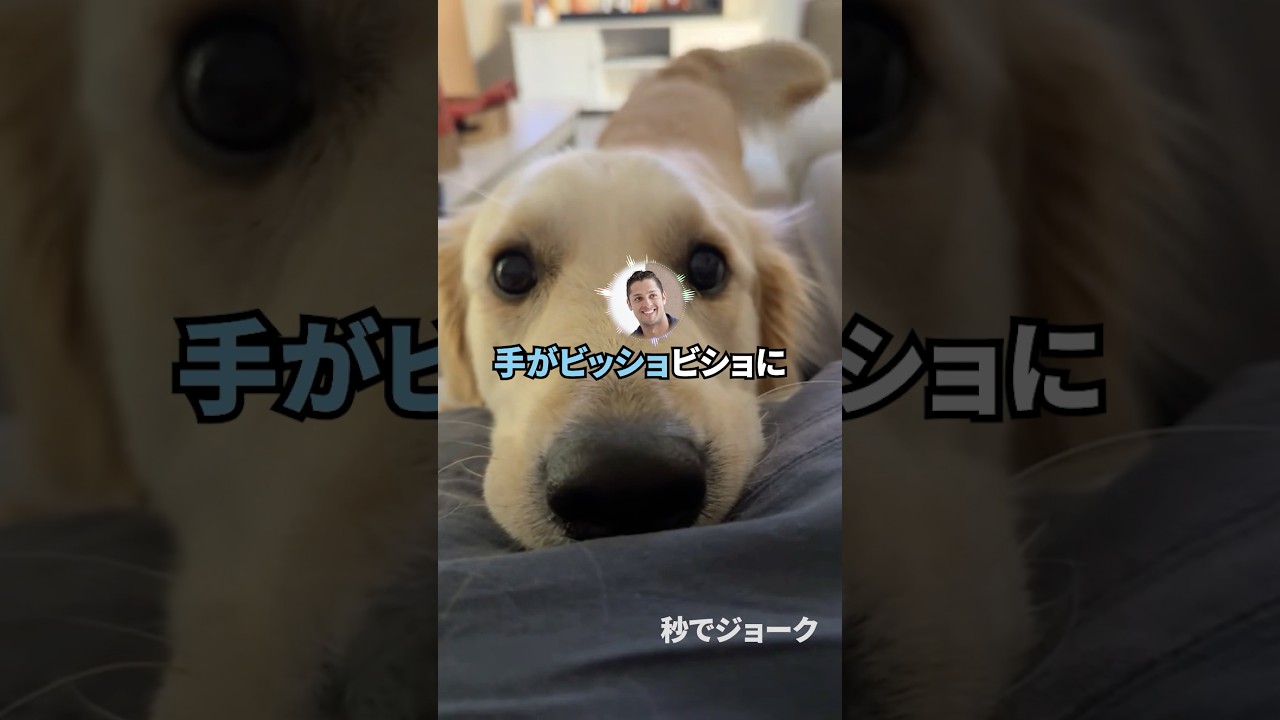 ハワイ旅行が起こした奇跡【ジョーク】