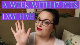 A Week In My Life With 17 Pets | Day Five - FRIDAY