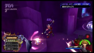 キングダムハーツ2やっていくpart11【クリティカルモード】
