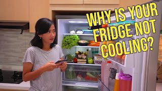 What to Do If Your Refrigerator Is Not Cooling