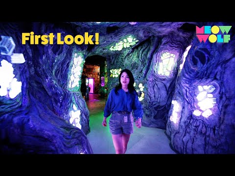 Meow Wolf's Biggest Experience Yet Is In Denver Colorado