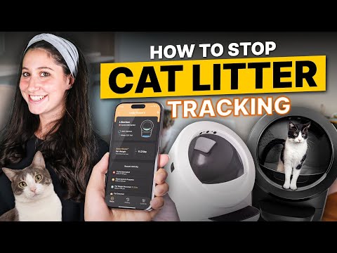How to Stop Cat Litter Tracking: The Ultimate Guide to a Clean Home Now
