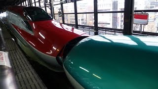 preview picture of video 'Japan Trains: Shinkansen Kiss at Morioka, 31Dec14'