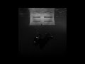 Billie Eilish WILDFLOWER SLOWED