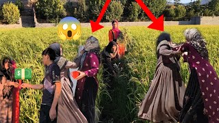 Download lagu Accusations of betrayal against a nomadic woman and her husband😨Hard work in the people's garden💵 mp3