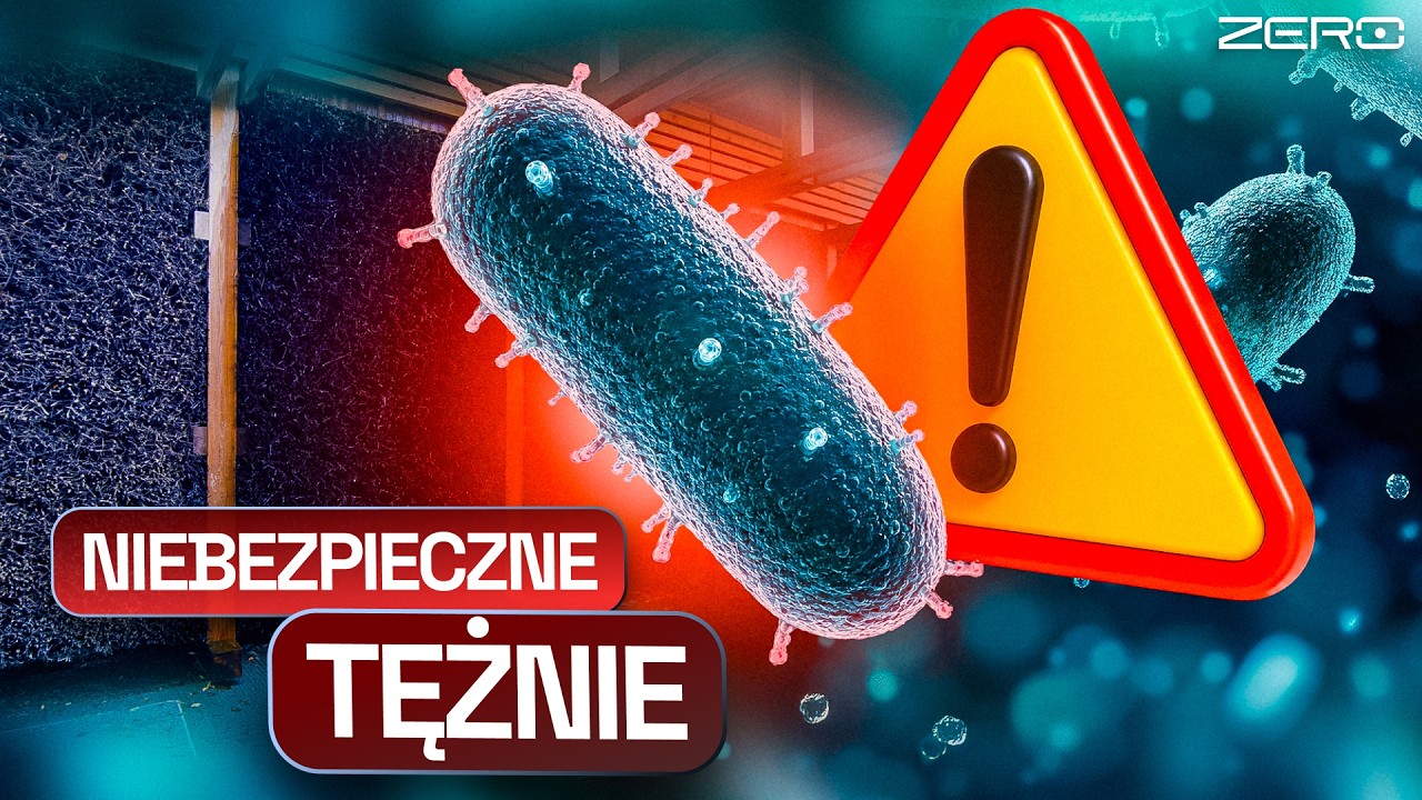 BAKTERIE KAŁOWE W TĘŻNIACH | MIAŁY LECZYĆ, A SĄ ZAGROŻENIEM DLA ZDROWIA