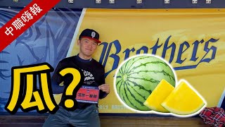 [分享] 台南Josh-你知道怎麼種出又大又甜的西瓜