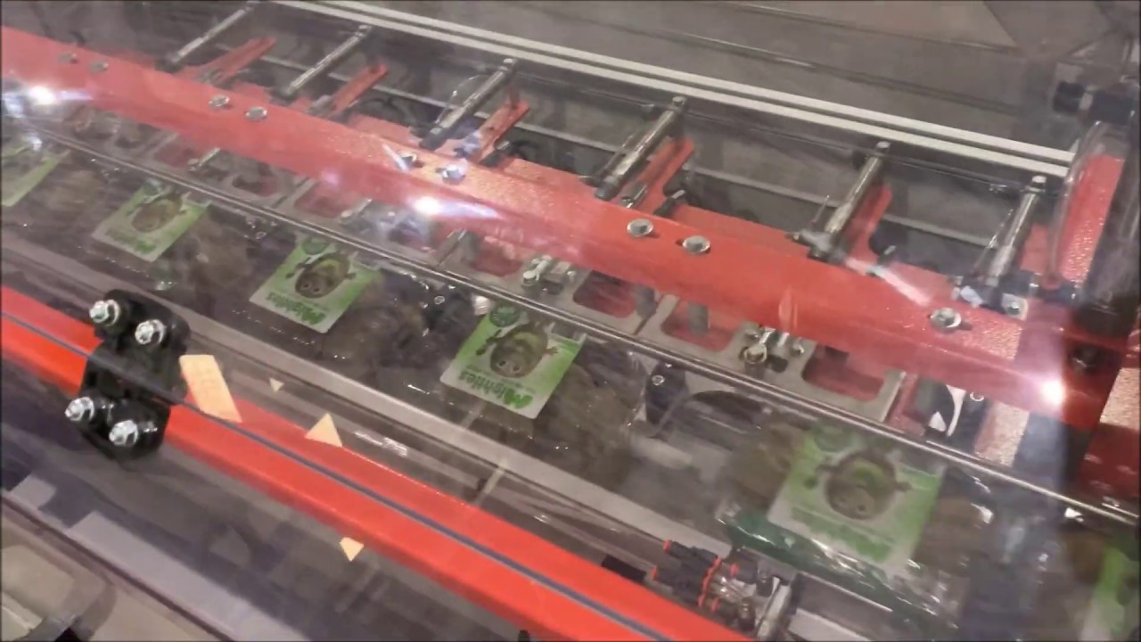 CLICK - CLAMSHELL CLOSING MACHINE - CHIUDITRICE DI CLAMSHELL