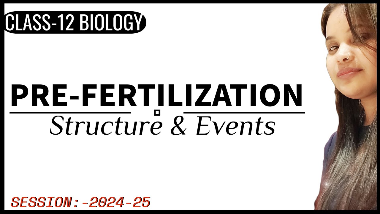 PRE FERTILIZATION STRUCTURE AND EVENTS | Sexual Reproduction In Flowering Plants | Class 12 Biology