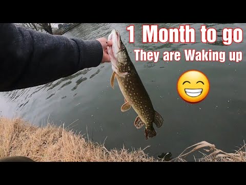 Exploring venues, Epic Fail, and catching lure fishing pike