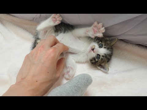 Thumbnail