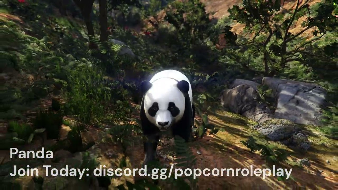 Panda - Addon Animal Ped thumbnail 2