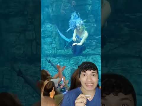 Flor morada [Twimbra]