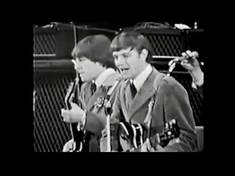 You've Got Your Troubles - The Fortunes