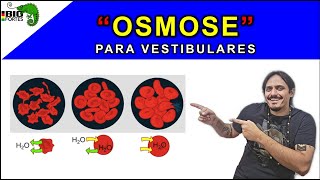 OSMOSE