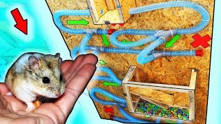 Приманка для хомяков