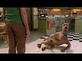 Scooby Doo Gara Di Rutti E Scorregge Tra Scooby E Shaggy