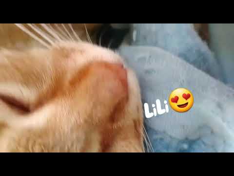 thank you for watching 😍😍