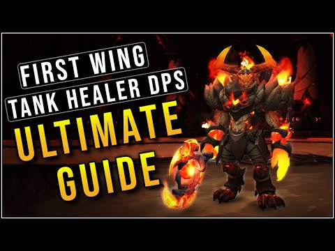The Ultimate Vault of the Incarnates Guide! LFR/Normal - The Primal Bulwark - The First Wing