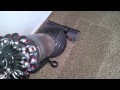 Dyson Cinetic Big Ball Animal Plus Allergy Cleaning