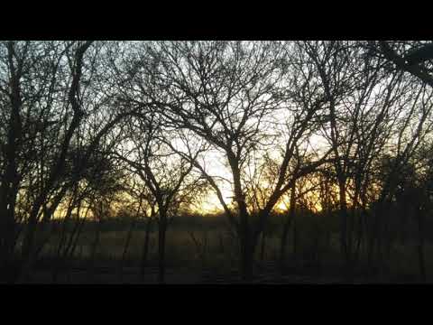 Canto a la Aloja - Andres Simón y Ulskie de Alemania !