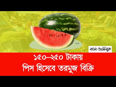 ১৫০-২৫০ টাকায় পিস হিসাবে তরমুজ বিক্রি II বাংলা আউটলুকII