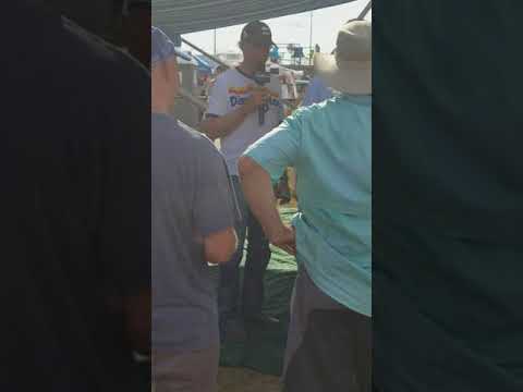 Brasington bus Darlington 2018 part 2