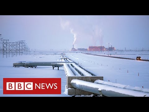 Trump’s plan to expand Alaskan oil and gas drilling is blocked by President Biden - BBC News