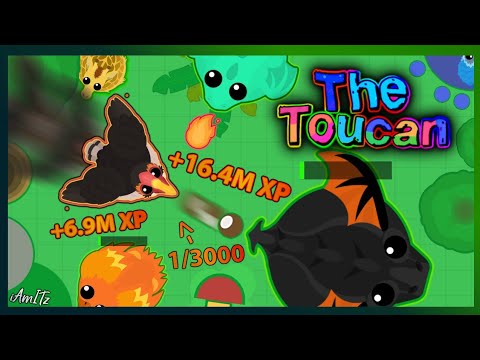 The Insane Toucan Montage and The Rare 1/3000 Helmeted Hornbill - Mope.io