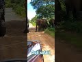 [Elephant🐘] suji safari udawalawa sri lanka contact whatsapp-94 76 40 13 120