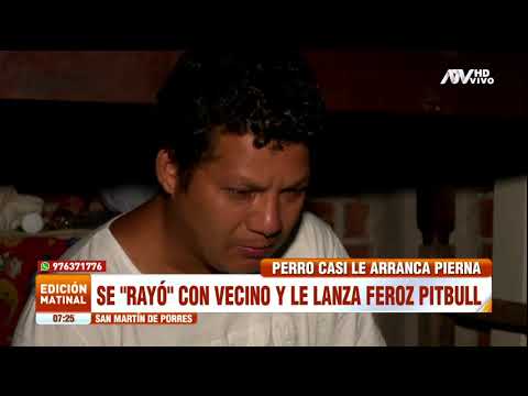 Sujeto envió a su perro pitbull a atacar a su vecino y casi le arranca la pierna