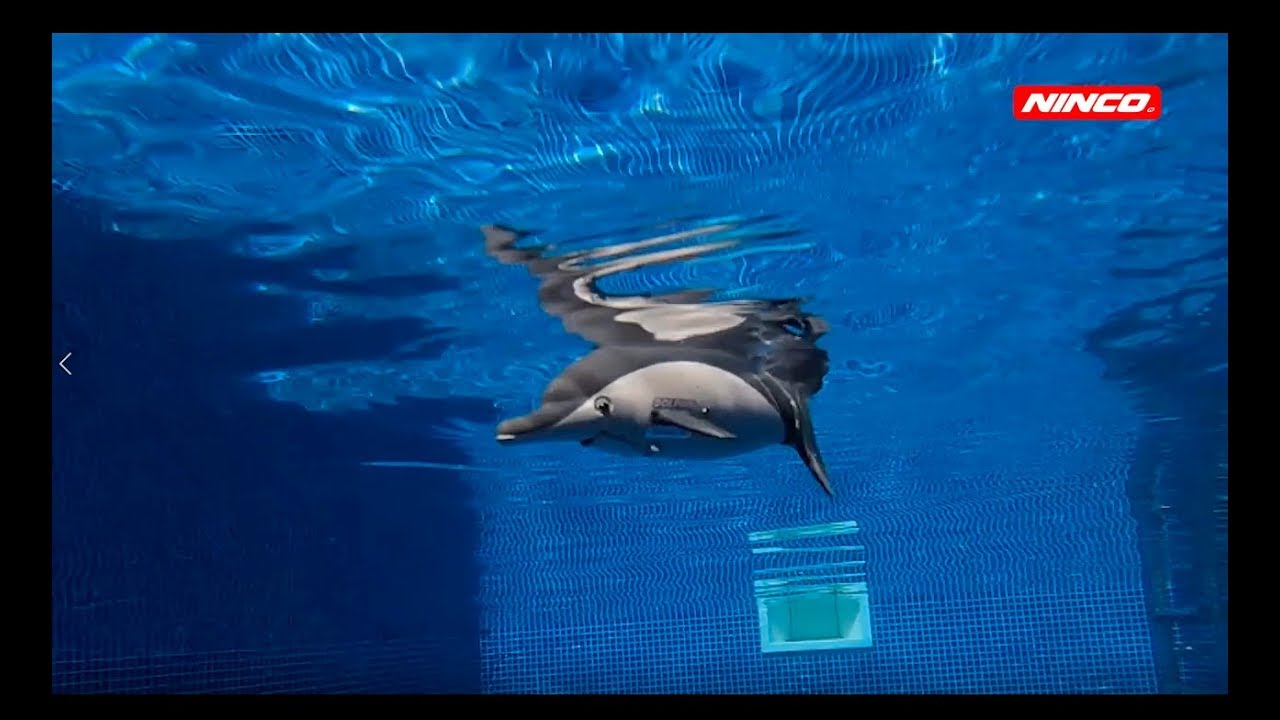 NINCOCEAN Delfín RTR