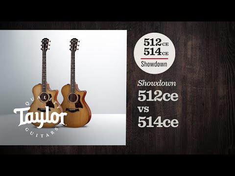 Taylor Guitar - 512ce, Urban Ironbark image 6